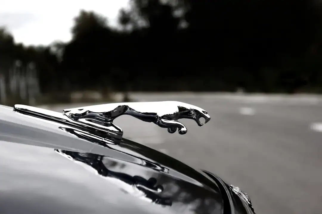 Illustration of Close-up macro photography of the classic silver Jaguar leaper hood ornament on a glossy black car.