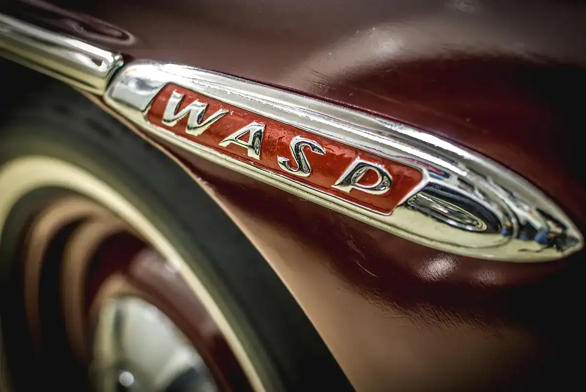 Close-up of burgundy vintage car badge WASP with chrome trim