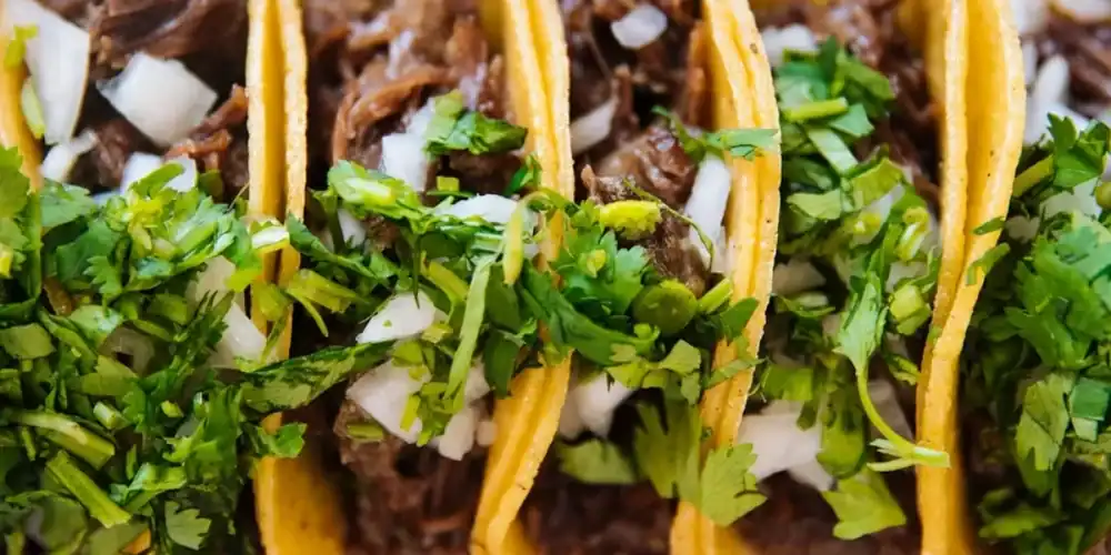 Close-up of shredded beef tacos with cilantro and onions in corn tortillas
