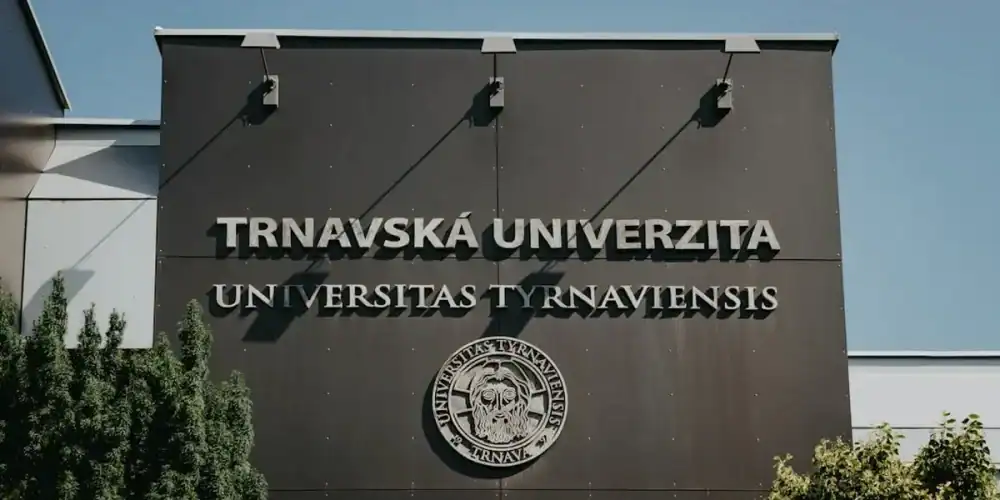 Illustration for article content.