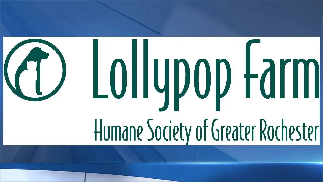 Lollypop Farm logo with dog silhouette and Humane Society of Greater Rochester