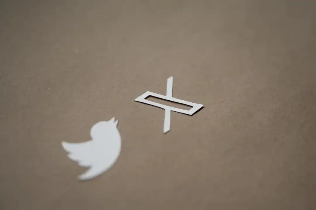 White Twitter bird and X logo cutouts on brown kraft paper