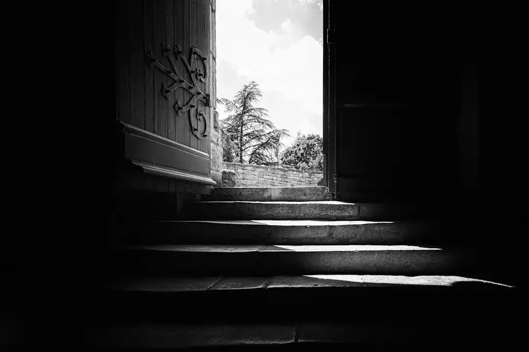 Dark interior doorway opens to bright exterior with stone steps and trees